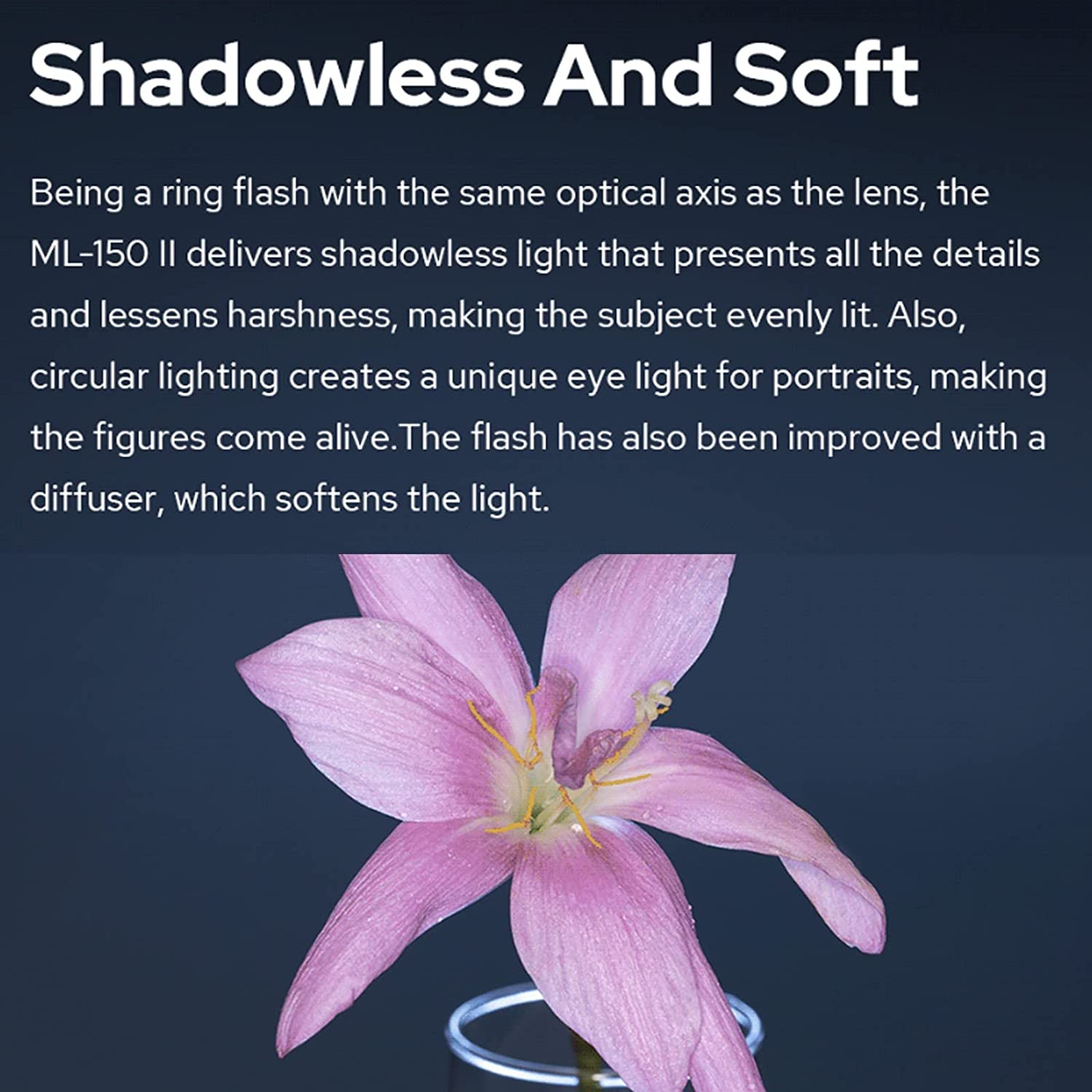 【KR&MX】Godox ML150 II Macro Ri - مراجعة Macro Photography Lighting Kit وسعره