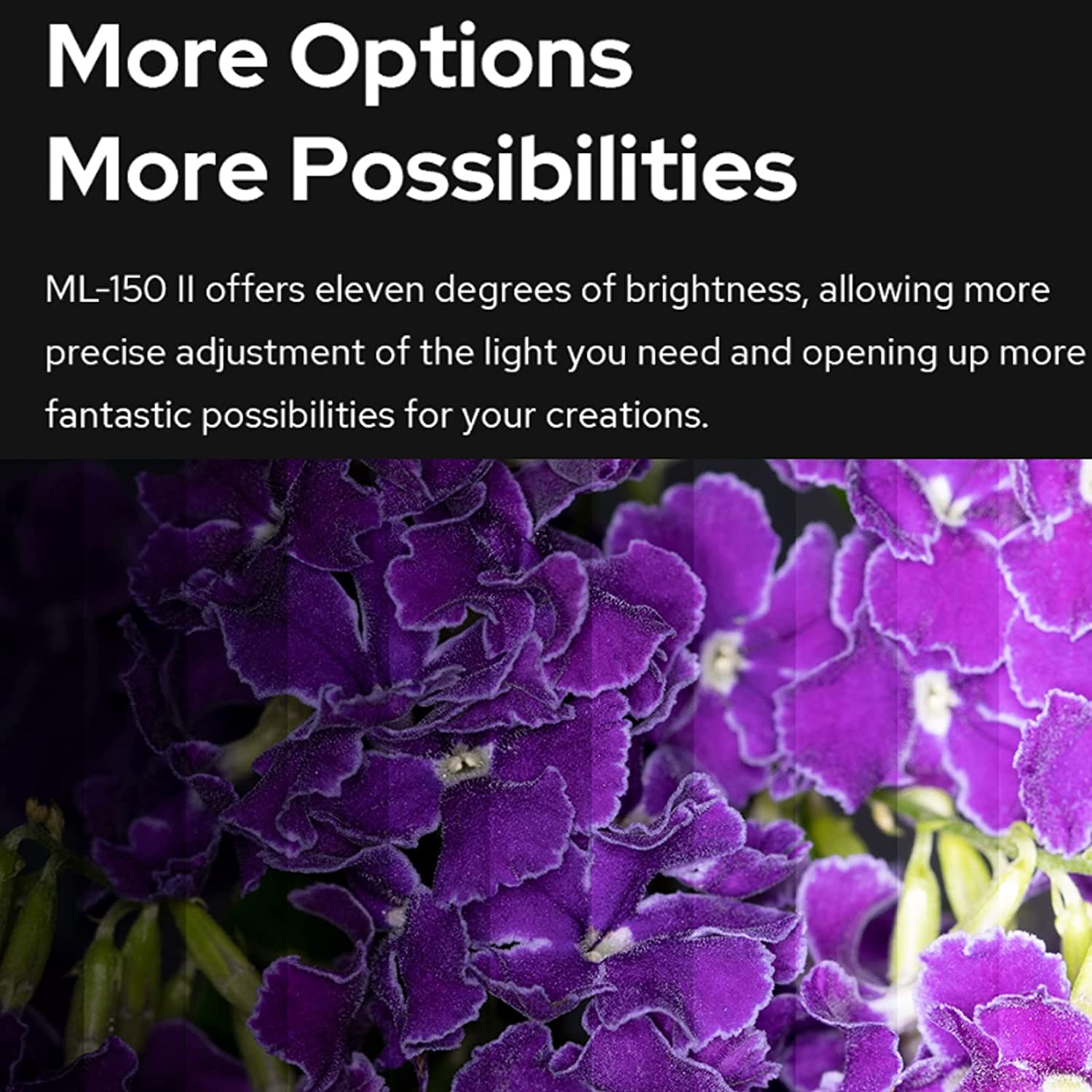 【KR&MX】Godox ML150 II Macro Ri - مراجعة Macro Photography Lighting Kit وسعره