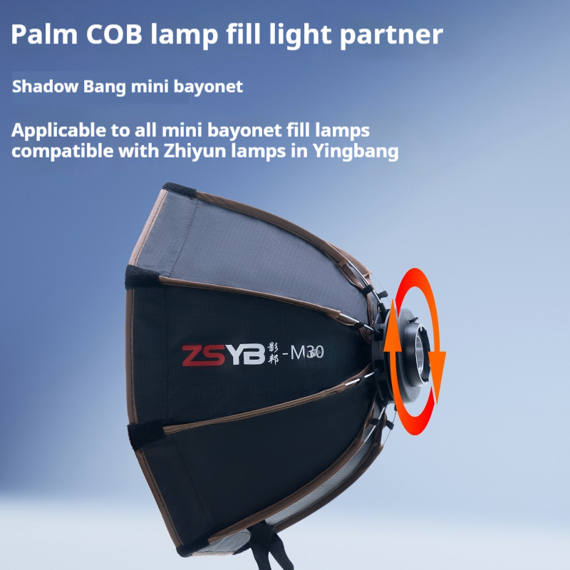 30cm Octagon Umbrella Softbox  - مراجعة Photography Lighting Grid وسعره