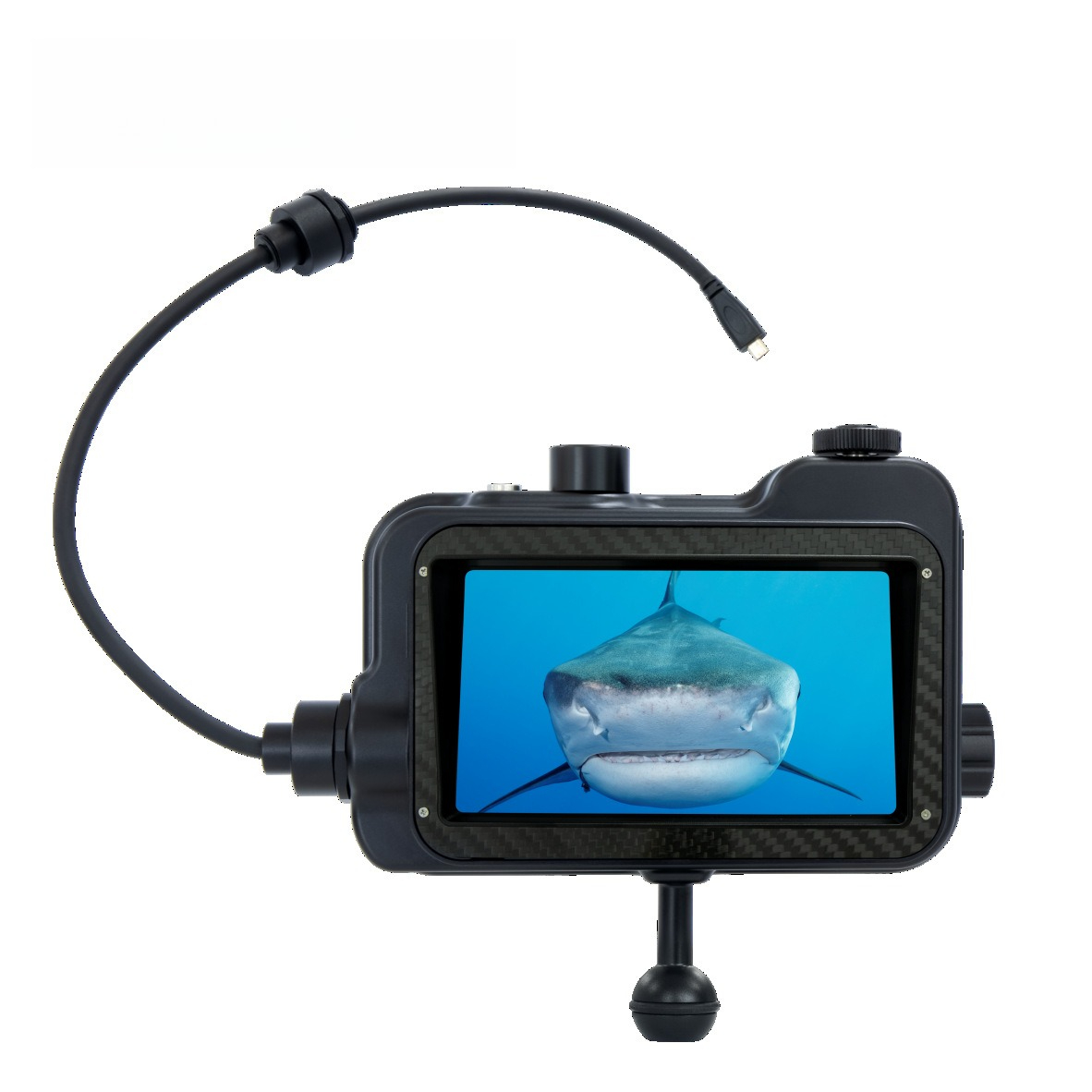 HDR monitor, diving photograph - مراجعة Photography Lighting Definition وسعره