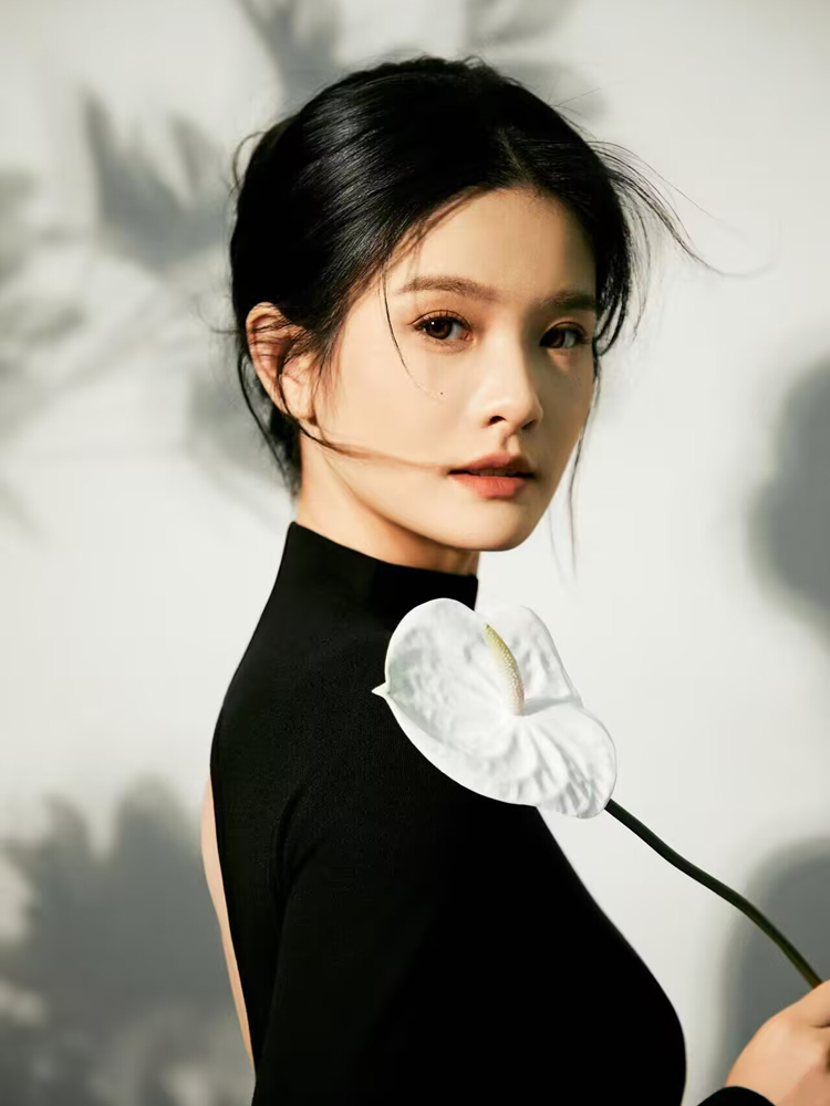 New Simple Chinese Style High- - مراجعة Photography Lighting Style وسعره